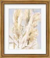 Framed 'Pampas Grasses II' border=