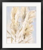 Framed 'Pampas Grasses II' border=