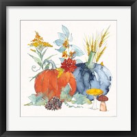 Fall Flair II Framed Print