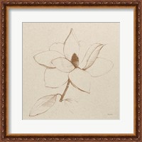 Framed 'Modern Vintage Floral II' border=