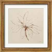 Framed 'Modern Vintage Floral I' border=