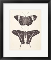 Framed Papillons I Neutral