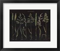 Framed Herbal Botanical VII Black