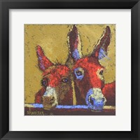 Framed Donkeys