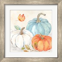 Framed 'Pumpkin Patch I' border=