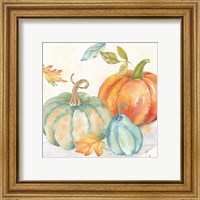 Framed 'Pumpkin Patch II' border=