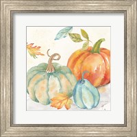 Framed 'Pumpkin Patch II' border=