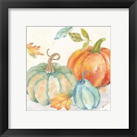 Framed 'Pumpkin Patch II' border=