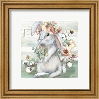 Framed 'Farmhouse Bunny II' border=