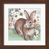 Framed 'Farmhouse Bunny IV' border=