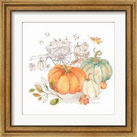 Framed 'Pumpkin Season II' border=