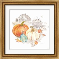 Framed 'Pumpkin Season III' border=