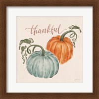 Framed Harvest Jewels III Pumpkins