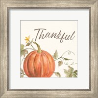 Framed 'Happy Harvest VIII Thankful' border=