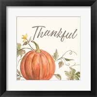 Happy Harvest VIII Thankful Framed Print