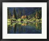 Framed Autumn Colors Of Aspen Trees Reflecting In A Beaver Pond