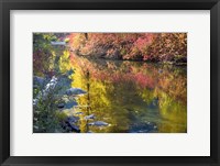 Framed Deep Fall Colors, Wenatchee River, Washington State