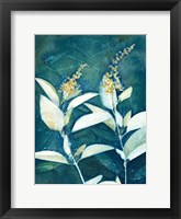 Shower of Gold IV Framed Print