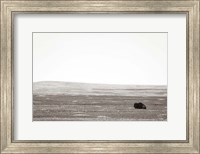 Framed Badlands Guard