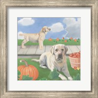 Framed 'Fall at the Farm II' border=