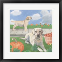 Framed 'Fall at the Farm II' border=