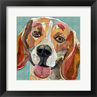 Framed Beagle