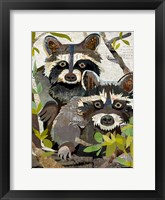 Framed Raccoons