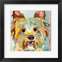 Framed Yorkie