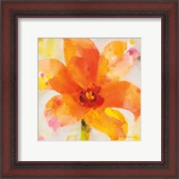 Framed 'Bright Tulips II' border=