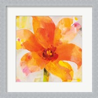 Framed 'Bright Tulips II' border=