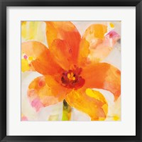 Framed 'Bright Tulips II' border=