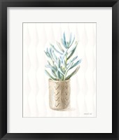 Desert Greenhouse XVII Framed Print