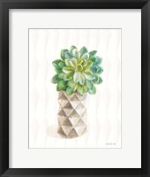 Desert Greenhouse XVIII Framed Print