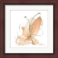 Framed 'Butterfly Flower II' border=