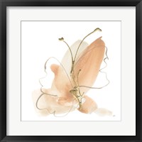 Framed 'Butterfly Flower II' border=