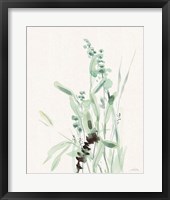 Framed 'Grasses III on Linen' border=