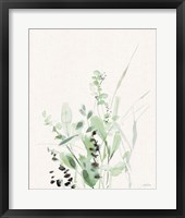 Grasses II on Linen Framed Print