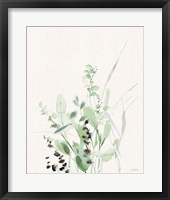 Framed 'Grasses II on Linen' border=