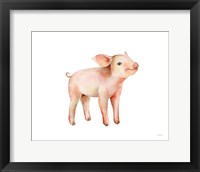 Framed Sweet Piggy on White