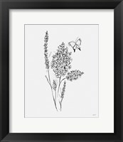 Framed 'Among Wildflowers I' border=