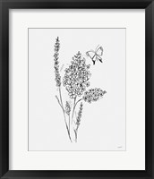 Framed 'Among Wildflowers I' border=