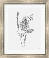 Framed 'Among Wildflowers I' border=