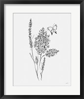 Among Wildflowers I Framed Print