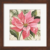 Framed 'Pink Poinsettia Botanical' border=