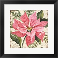 Framed 'Pink Poinsettia Botanical' border=