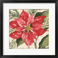 Framed Red Poinsettia Botanical