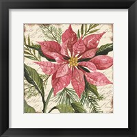 Framed 'Mauve Poinsettia Botanical' border=