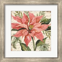 Framed 'Peach Poinsettia Botanical' border=