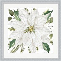 Framed 'White Poinsettia' border=