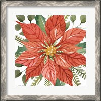 Framed 'Red Poinsettia' border=